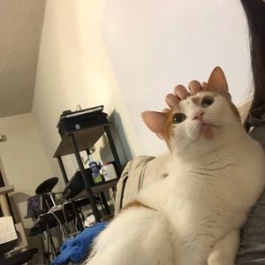 Meet your Posher, Soo